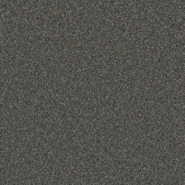 Dreamweaver Carpet Gold Standard III Mica Carpet 4066_2185