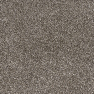 Dreamweaver Carpet Gold Standard III Pewter Carpet 4066_2316