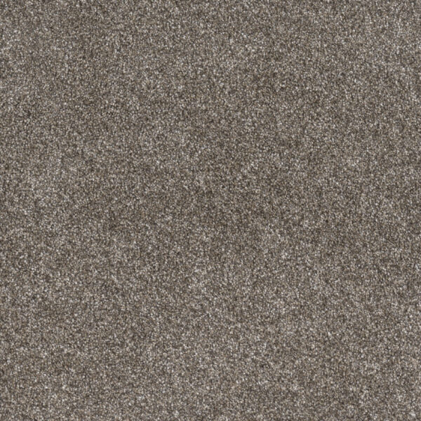 Dreamweaver Carpet Gold Standard III Pewter Carpet 4066_2316