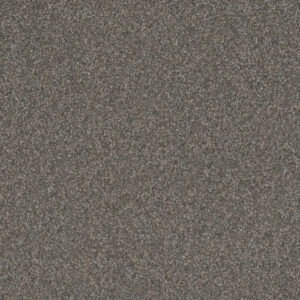 Dreamweaver Carpet Gold Standard III Graphite Carpet 4066_2330