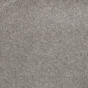 Dreamweaver Carpet Gold Standard III Crystal Carpet 4066_2448