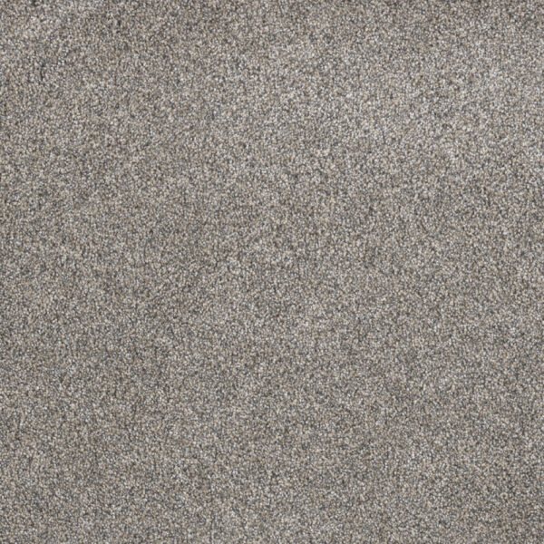 Dreamweaver Carpet Gold Standard III Crystal Carpet 4066_2448