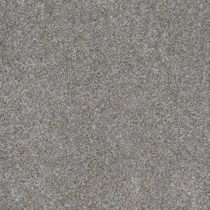 Dreamweaver Carpet Gold Standard III Chrome Carpet 4066_2484