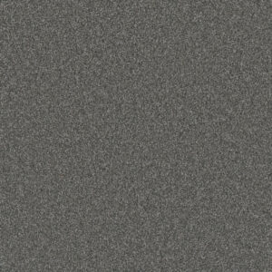 Dreamweaver Carpet Gold Standard III Galvanized Carpet 4066_2494