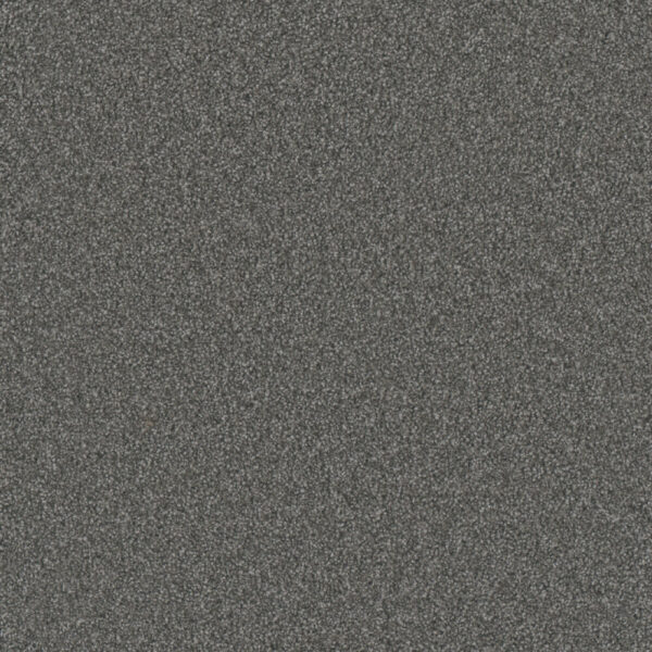 Dreamweaver Carpet Gold Standard III Galvanized Carpet 4066_2494
