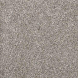 Dreamweaver Carpet Gold Standard III Sterling Carpet 4066_2508