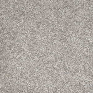 Dreamweaver Carpet Gold Standard III Glitter Carpet 4066_2611