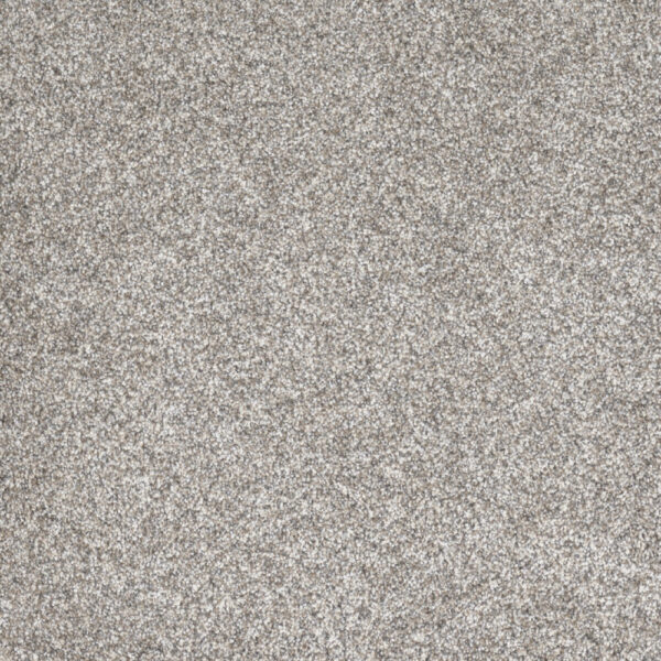 Dreamweaver Carpet Gold Standard III Glitter Carpet 4066_2611