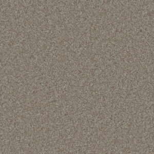 Dreamweaver Carpet Gold Standard III Alloy Carpet 4066_2632