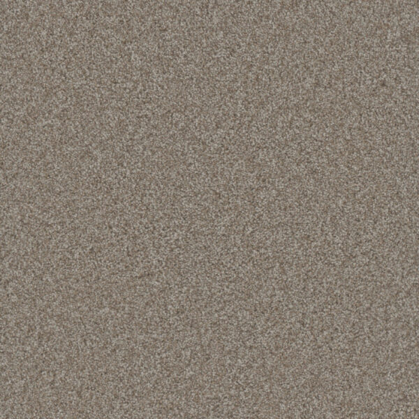 Dreamweaver Carpet Gold Standard III Alloy Carpet 4066_2632