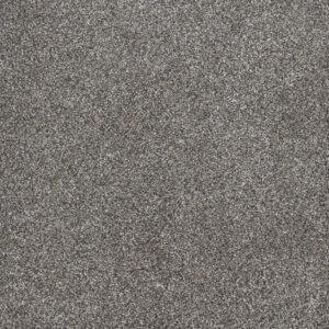 Dreamweaver Carpet Gold Standard III Metallic Carpet 4066_2648