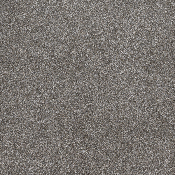 Dreamweaver Carpet Gold Standard III Metallic Carpet 4066_2648