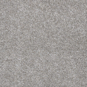 Dreamweaver Carpet Gold Standard III Quartz Carpet 4066_2678