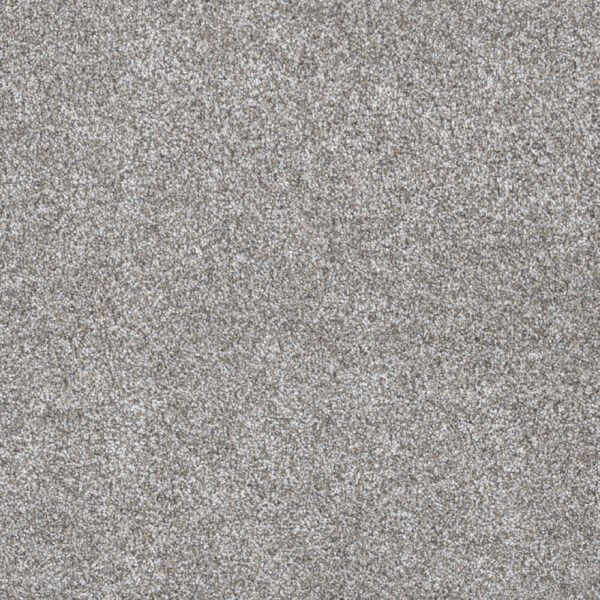 Dreamweaver Carpet Gold Standard III Quartz Carpet 4066_2678