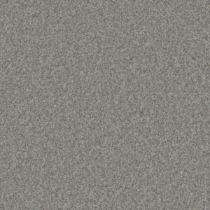Dreamweaver Carpet Gold Standard III Diamond Carpet 4066_2701