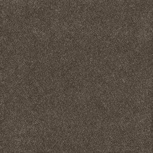 Dreamweaver Carpet Gold Standard III Ingot Carpet 4066_2801