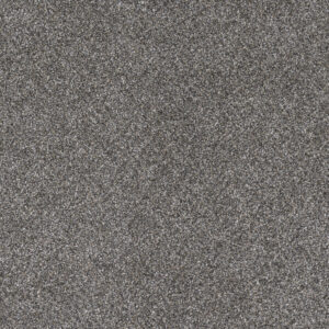 Dreamweaver Carpet Gold Standard III Reserve Carpet 4066_2817