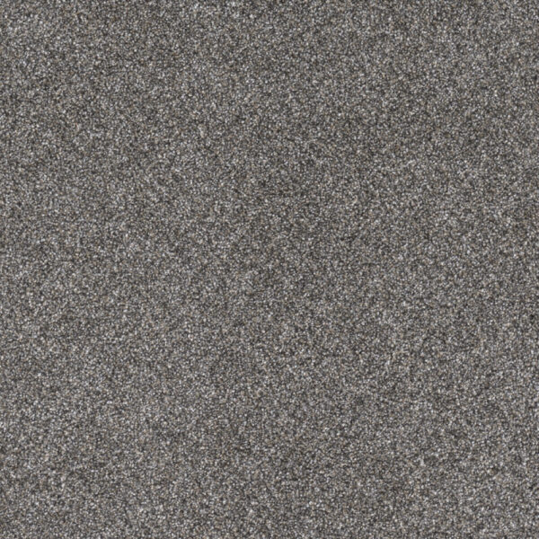 Dreamweaver Carpet Gold Standard III Reserve Carpet 4066_2817