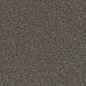 Dreamweaver Carpet Gold Standard III Topaz Carpet 4066_2819