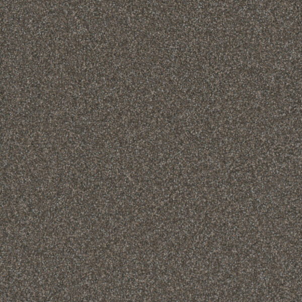 Dreamweaver Carpet Gold Standard III Topaz Carpet 4066_2819