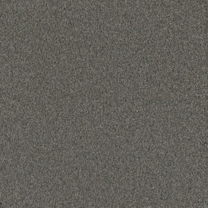 Dreamweaver Carpet No Limits III Gentle Sea Carpet 9354_4118