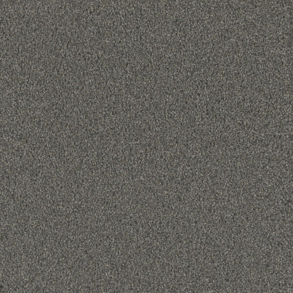 Dreamweaver Carpet No Limits III Gentle Sea Carpet 9354_4118