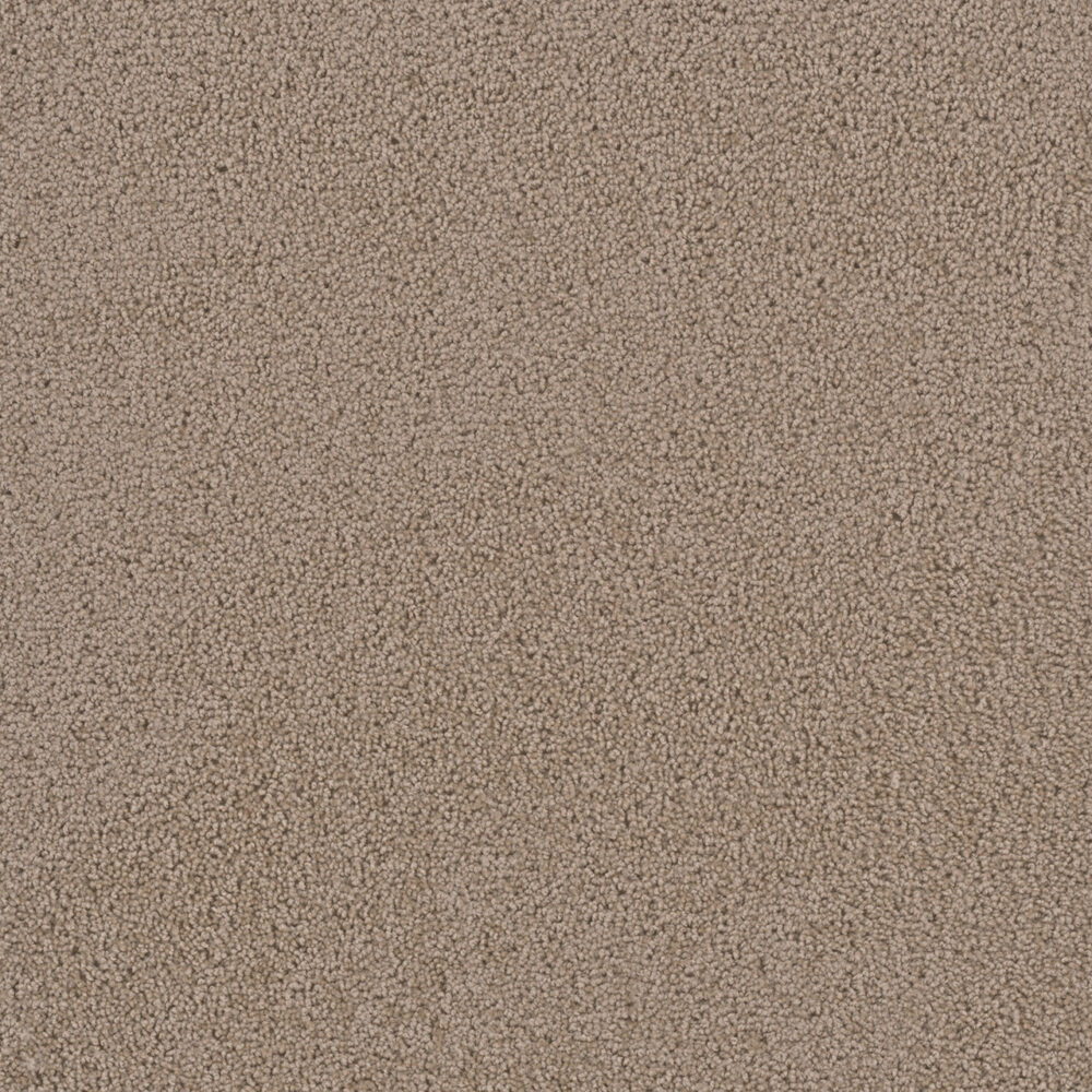 Dreamweaver Carpet First Step Doeskin Carpet 4160_530