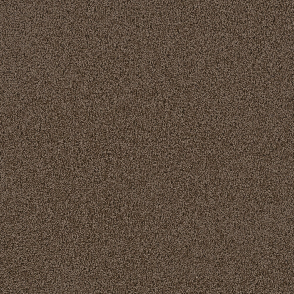 Dreamweaver Carpet First Step Barnwood Carpet 4160_550