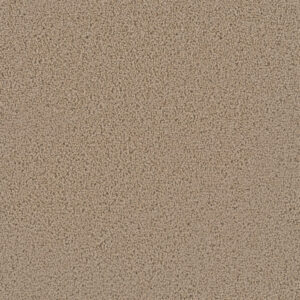 Dreamweaver Carpet First Step Satinwood Carpet 4160_555