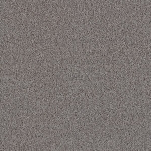 Dreamweaver Carpet First Step Dove Carpet 4160_800