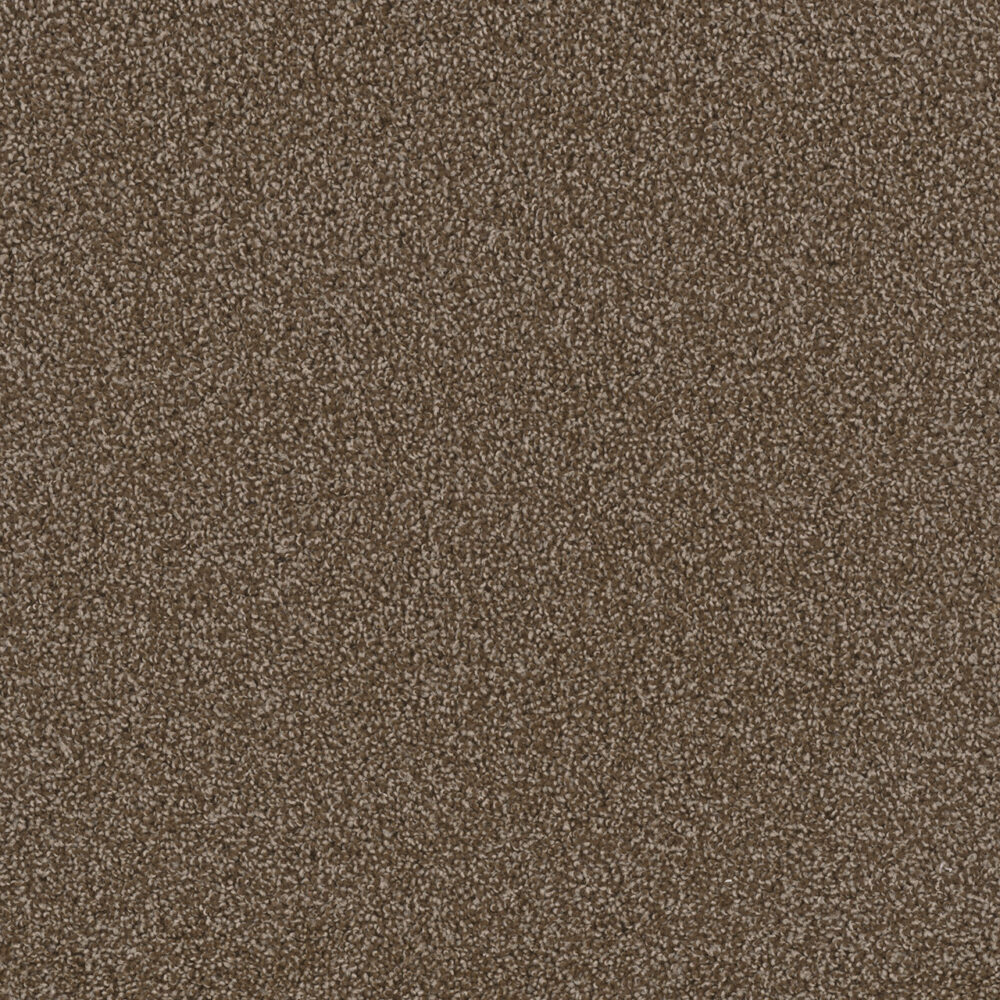 Dreamweaver Carpet First Step Chocolate Carpet 4160_812