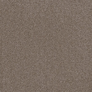 Dreamweaver Carpet First Step Silvery Carpet 4160_829