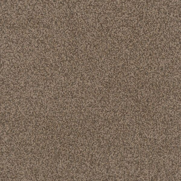Dreamweaver Carpet Step Two Agate Carpet 4162_512