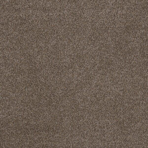 Dreamweaver Carpet Step Two Richness Carpet 4162_709