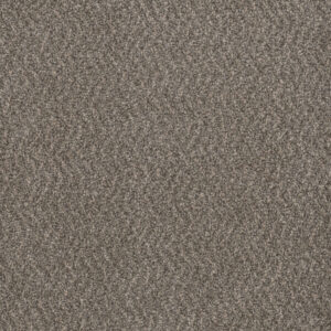 Dreamweaver Carpet Step Two Ironclad Carpet 4162_783