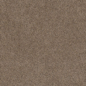 Dreamweaver Carpet Step Two Esteem Carpet 4162_827