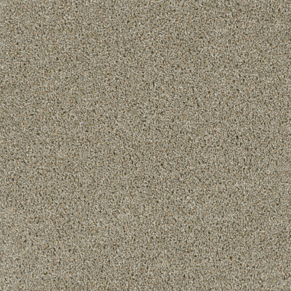 Dreamweaver Carpet Yellowstone Rhinestone Carpet 4330_116