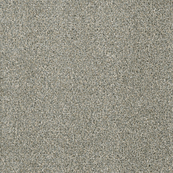 Dreamweaver Carpet Yellowstone Sandy Trail Carpet 4330_495