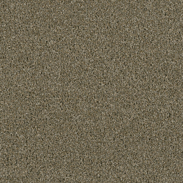 Dreamweaver Carpet Yellowstone Cinnamon Tea Carpet 4330_528
