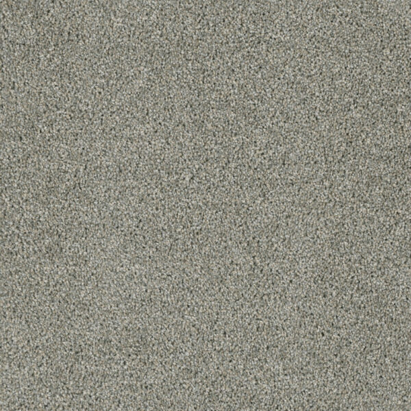 Dreamweaver Carpet Yellowstone Looking Glass Carpet 4330_570