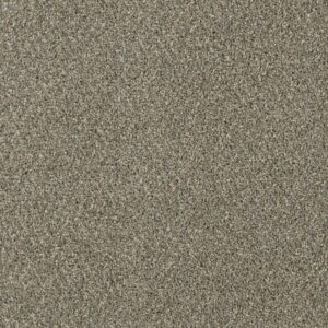 Dreamweaver Carpet Yellowstone Smooth Sailing Carpet 4330_641