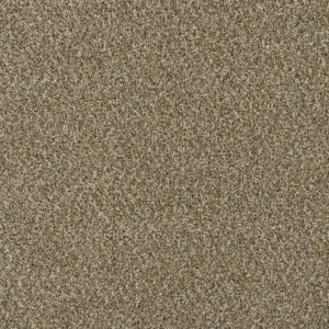 Dreamweaver Carpet Yellowstone Sienna Sand Carpet 4330_680