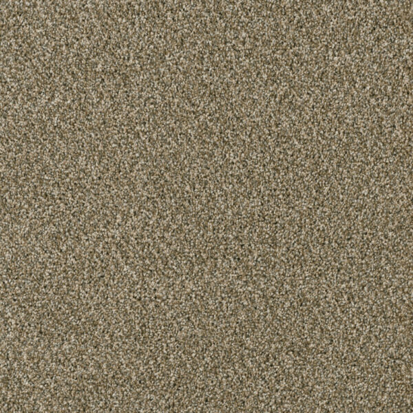 Dreamweaver Carpet Yellowstone Sienna Sand Carpet 4330_680