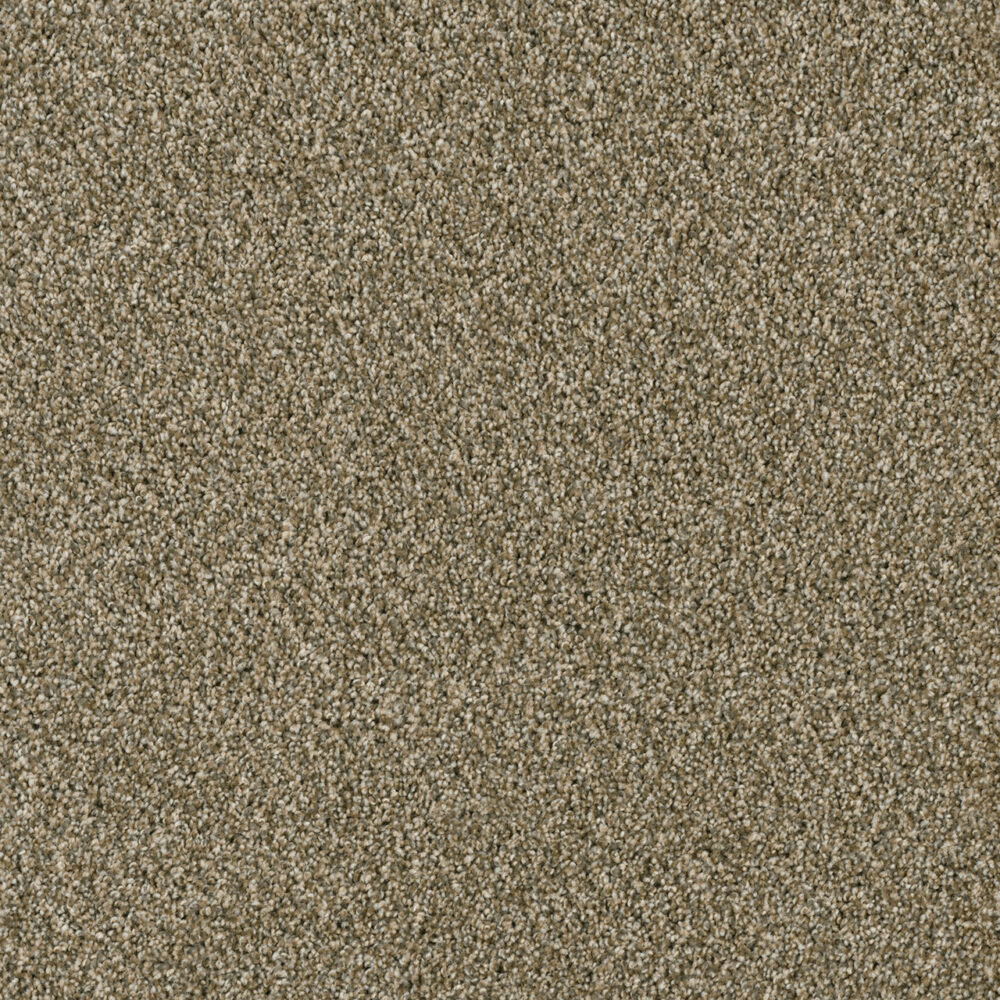 Dreamweaver Carpet Yellowstone Sienna Sand Carpet 4330_680