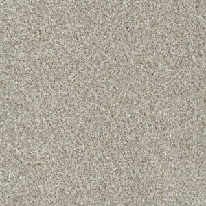 Dreamweaver Carpet Yellowstone Winterbrooke Carpet 4330_898