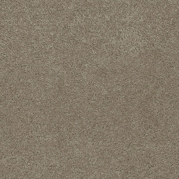 Dreamweaver Carpet Rock Solid III Cashew Carpet 4365_530