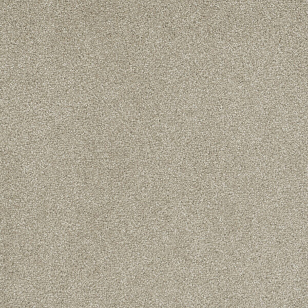 Dreamweaver Carpet Rock Solid II Cream Carpet 4355_580