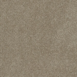 Dreamweaver Carpet Rock Solid III Buff Carpet 4365_720