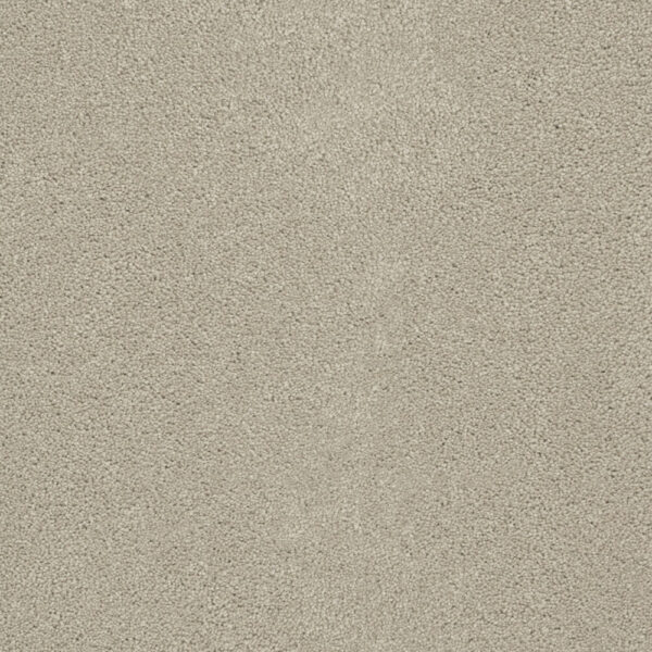 Dreamweaver Carpet Rock Solid II Ivory Carpet 4355_730
