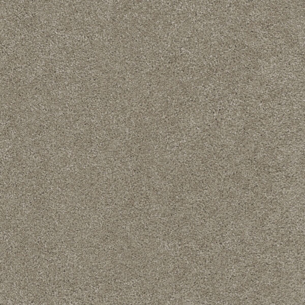 Dreamweaver Carpet Rock Solid I Warm Teak Carpet 4345_784